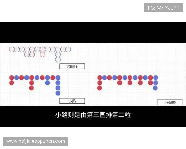全面解析百家乐路单记录的作用与应用方法，助你掌握游戏趋势实现盈利