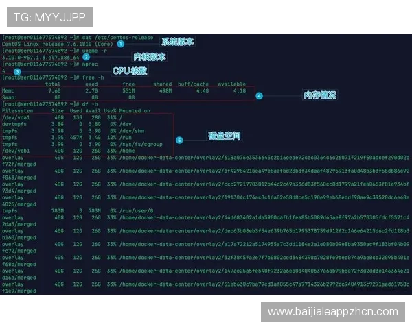 体验DB真人试玩的最佳方法，详细介绍新手入门技巧与常见问题解决方案