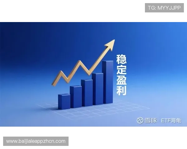 如何通过DB真人旗舰集团平台实现稳定盈利与安全保障的完美结合